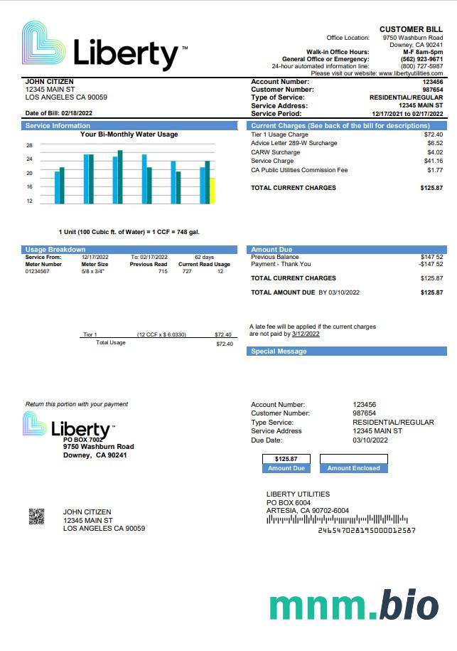 Usa California Liberty Utilities rachunek za media szablon w formacie Word i PDF